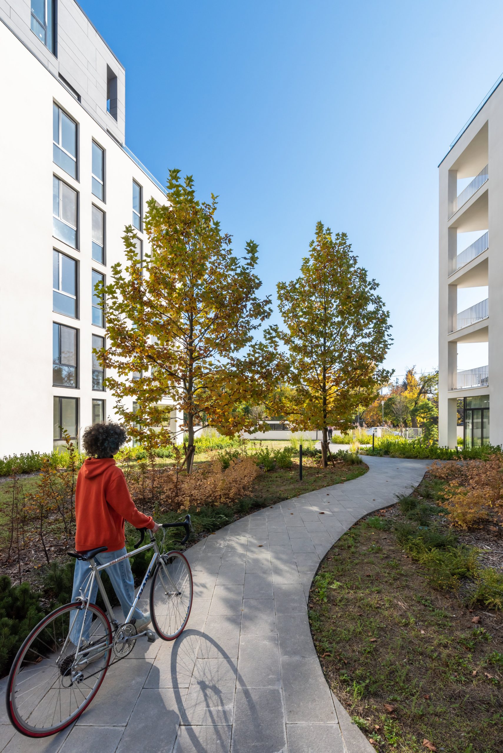 913b920fcd998a24eaa4cd2df1f4a4ac