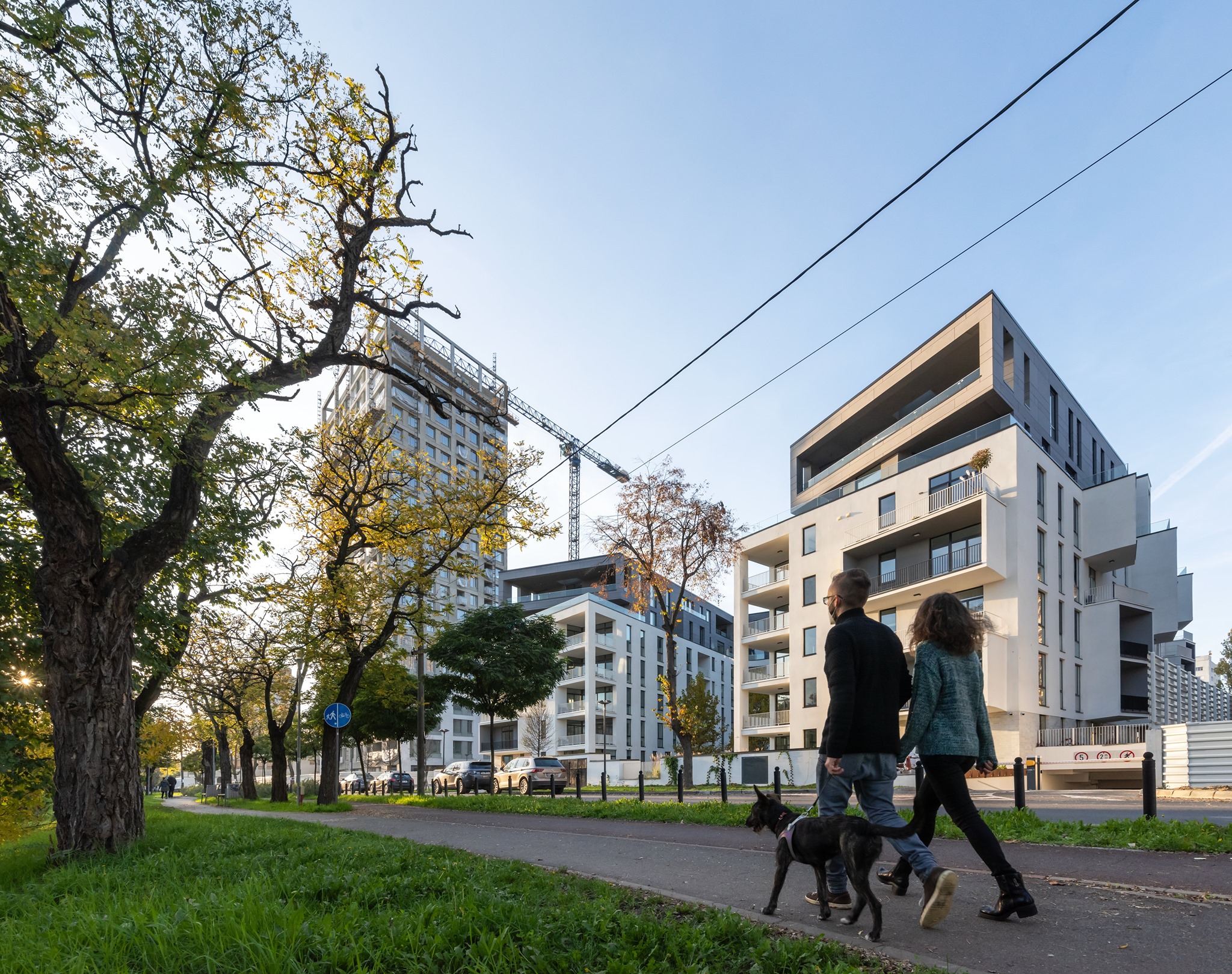 125323558_1212798442446886_2782104844790937397_n